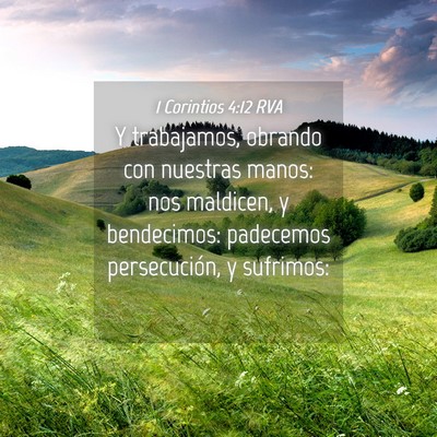 Picture 04 - 1 Corintios 4:12 RVA - Y trabajamos, obrando con nuestras manos: nos - Bible Verse Picture