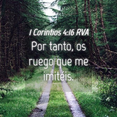 Picture 04 - 1 Corintios 4:16 RVA - Por tanto, os ruego que me - Bible Verse Picture
