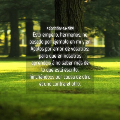 Picture 04 - 1 Corintios 4:6 RVA - Esto empero, hermanos, he pasado por ejemplo en - Bible Verse Picture