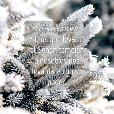 Picture 04 - 1 Corintios 6:14 RVA - Y Dios que levantó al Señor, también á - Bible Verse Picture
