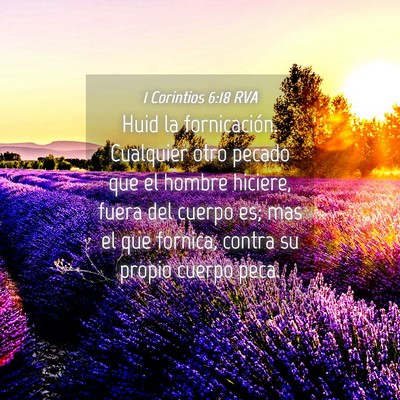 Picture 04 - 1 Corintios 6:18 RVA - Huid la fornicación. Cualquier otro pecado que - Bible Verse Picture