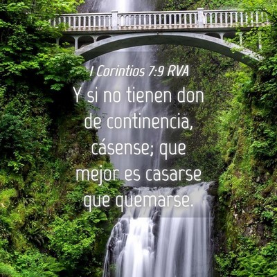 Picture 04 - 1 Corintios 7:9 RVA - Y si no tienen don de continencia, cásense; que - Bible Verse Picture