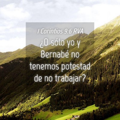 Picture 04 - 1 Corintios 9:6 RVA - ¿O sólo yo y Bernabé no tenemos potestad de no - Bible Verse Picture