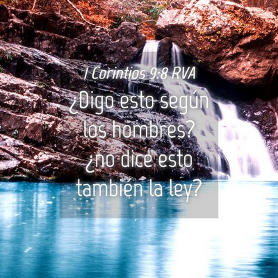 Picture 04 - 1 Corintios 9:8 RVA - ¿Digo esto según los hombres? ¿no dice esto - Bible Verse Picture
