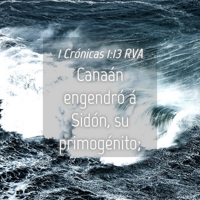 Picture 04 - 1 Crónicas 1:13 RVA - Canaán engendró á Sidón, su - Bible Verse Picture