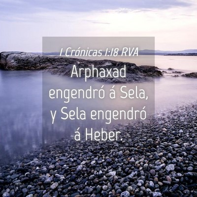 Picture 04 - 1 Crónicas 1:18 RVA - Arphaxad engendró á Sela, y Sela engendró á - Bible Verse Picture