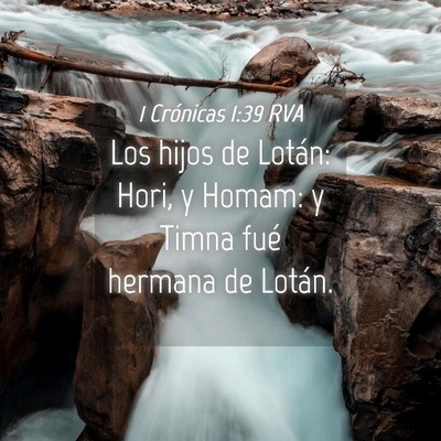 Picture 04 - 1 Crónicas 1:39 RVA - Los hijos de Lotán: Hori, y Homam: y Timna fué - Bible Verse Picture