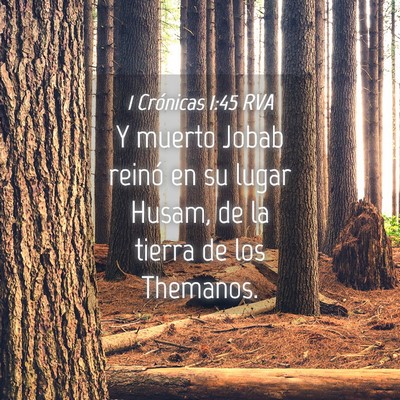 Picture 04 - 1 Crónicas 1:45 RVA - Y muerto Jobab reinó en su lugar Husam, de la - Bible Verse Picture