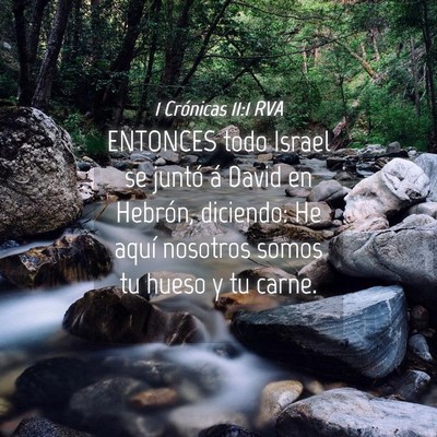 Picture 04 - 1 Crónicas 11:1 RVA - ENTONCES todo Israel se juntó á David en - Bible Verse Picture