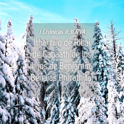 Picture 04 - 1 Crónicas 11:31 RVA - Ithai hijo de Ribai de Gabaath de los hijos de - Bible Verse Picture