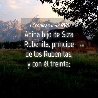 Picture 04 - 1 Crónicas 11:42 RVA - Adina hijo de Siza Rubenita, príncipe de los - Bible Verse Picture