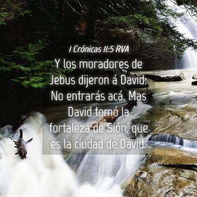 Picture 04 - 1 Crónicas 11:5 RVA - Y los moradores de Jebus dijeron á David: No - Bible Verse Picture