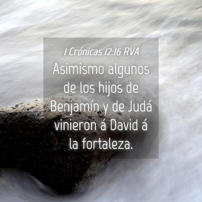Picture 04 - 1 Crónicas 12:16 RVA - Asimismo algunos de los hijos de Benjamín y de - Bible Verse Picture