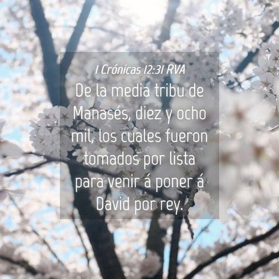 Picture 04 - 1 Crónicas 12:31 RVA - De la media tribu de Manasés, diez y ocho mil, - Bible Verse Picture