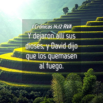 Picture 04 - 1 Crónicas 14:12 RVA - Y dejaron allí sus dioses, y David dijo que los - Bible Verse Picture