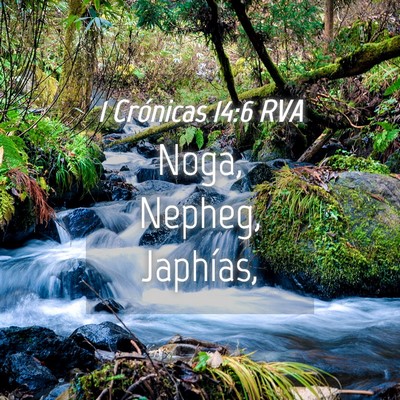 Picture 04 - 1 Crónicas 14:6 RVA - Noga, Nepheg, - Bible Verse Picture