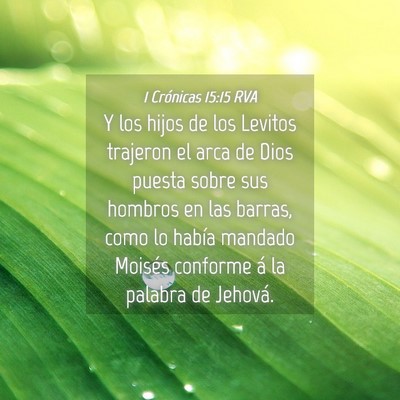 Picture 04 - 1 Crónicas 15:15 RVA - Y los hijos de los Levitos trajeron el arca de - Bible Verse Picture