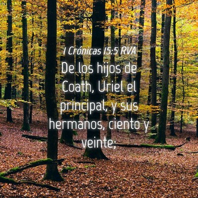 Picture 04 - 1 Crónicas 15:5 RVA - De los hijos de Coath, Uriel el principal, y sus - Bible Verse Picture