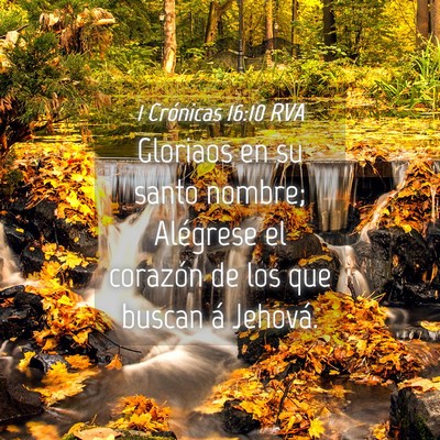 Picture 04 - 1 Crónicas 16:10 RVA - Gloriaos en su santo nombre; Alégrese el - Bible Verse Picture