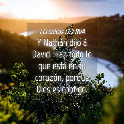 Picture 04 - 1 Crónicas 17:2 RVA - Y Nathán dijo á David: Haz todo lo que está en - Bible Verse Picture