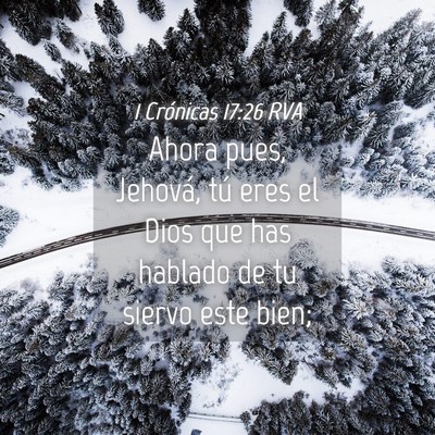 Picture 04 - 1 Crónicas 17:26 RVA - Ahora pues, Jehová, tú eres el Dios que has - Bible Verse Picture