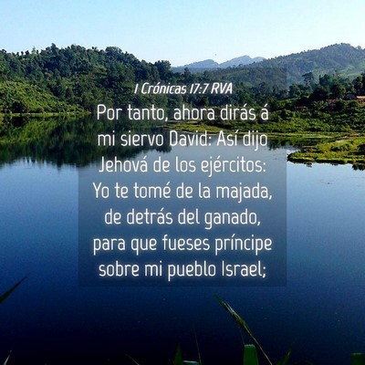 Picture 04 - 1 Crónicas 17:7 RVA - Por tanto, ahora dirás á mi siervo David: Así - Bible Verse Picture