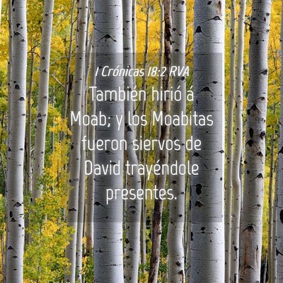 Picture 04 - 1 Crónicas 18:2 RVA - También hirió á Moab; y los Moabitas fueron - Bible Verse Picture