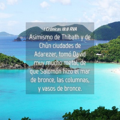 Picture 04 - 1 Crónicas 18:8 RVA - Asimismo de Thibath y de Chûn ciudades de - Bible Verse Picture