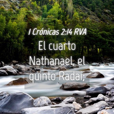 Picture 04 - 1 Crónicas 2:14 RVA - El cuarto Nathanael, el quinto - Bible Verse Picture