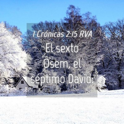Picture 04 - 1 Crónicas 2:15 RVA - El sexto Osem, el séptimo - Bible Verse Picture