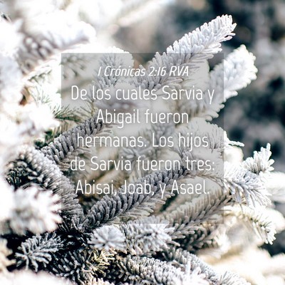 Picture 04 - 1 Crónicas 2:16 RVA - De los cuales Sarvia y Abigail fueron hermanas. - Bible Verse Picture
