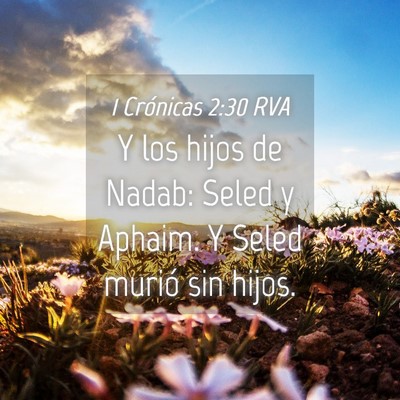 Picture 04 - 1 Crónicas 2:30 RVA - Y los hijos de Nadab: Seled y Aphaim. Y Seled - Bible Verse Picture