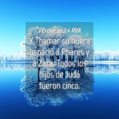 Picture 04 - 1 Crónicas 2:4 RVA - Y Thamar su nuera le parió á Phares y á Zara. - Bible Verse Picture