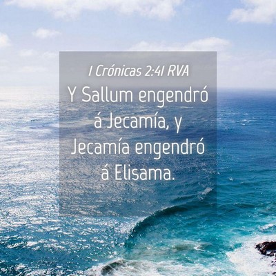 Picture 04 - 1 Crónicas 2:41 RVA - Y Sallum engendró á Jecamía, y Jecamía - Bible Verse Picture