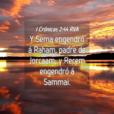 Picture 04 - 1 Crónicas 2:44 RVA - Y Sema engendró á Raham, padre de Jorcaam; y - Bible Verse Picture