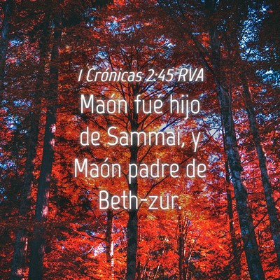 Picture 04 - 1 Crónicas 2:45 RVA - Maón fué hijo de Sammai, y Maón padre de - Bible Verse Picture
