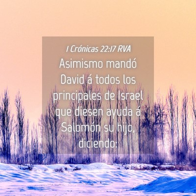 Picture 04 - 1 Crónicas 22:17 RVA - Asimismo mandó David á todos los principales de - Bible Verse Picture