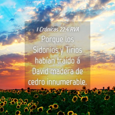 Picture 04 - 1 Crónicas 22:4 RVA - Porque los Sidonios y Tirios habían traído á - Bible Verse Picture