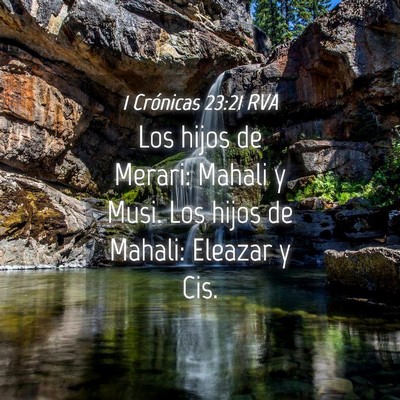 Picture 04 - 1 Crónicas 23:21 RVA - Los hijos de Merari: Mahali y Musi. Los hijos de - Bible Verse Picture