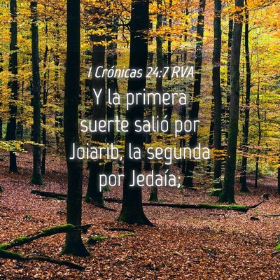 Picture 04 - 1 Crónicas 24:7 RVA - Y la primera suerte salió por Joiarib, la - Bible Verse Picture