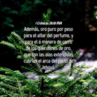 Picture 04 - 1 Crónicas 28:18 RVA - Además, oro puro por peso para el altar del - Bible Verse Picture