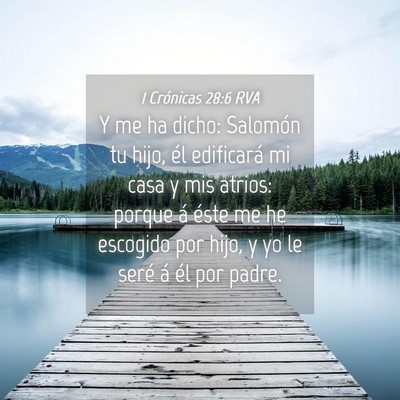 Picture 04 - 1 Crónicas 28:6 RVA - Y me ha dicho: Salomón tu hijo, él edificará - Bible Verse Picture
