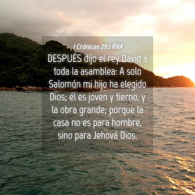 Picture 04 - 1 Crónicas 29:1 RVA - DESPUÉS dijo el rey David á toda la asamblea: A - Bible Verse Picture