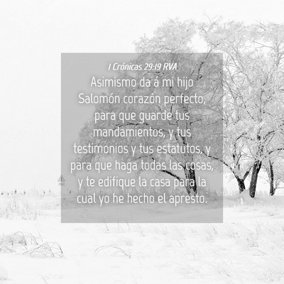 Picture 04 - 1 Crónicas 29:19 RVA - Asimismo da á mi hijo Salomón corazón - Bible Verse Picture