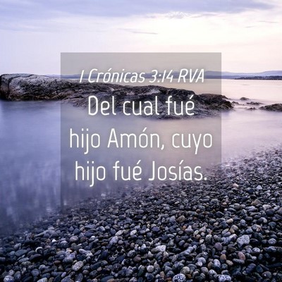 Picture 04 - 1 Crónicas 3:14 RVA - Del cual fué hijo Amón, cuyo hijo fué - Bible Verse Picture