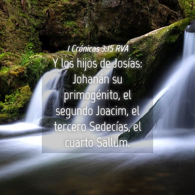 Picture 04 - 1 Crónicas 3:15 RVA - Y los hijos de Josías: Johanán su primogénito, - Bible Verse Picture