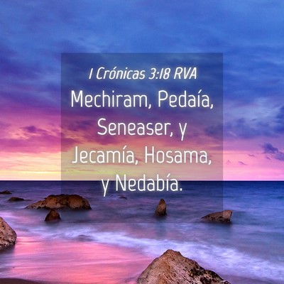 Picture 04 - 1 Crónicas 3:18 RVA - Mechiram, Pedaía, Seneaser, y Jecamía, Hosama, - Bible Verse Picture