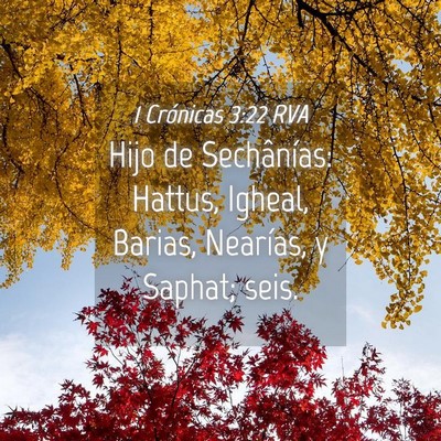 Picture 04 - 1 Crónicas 3:22 RVA - Hijo de Sechânías: Hattus, Igheal, Barias, - Bible Verse Picture