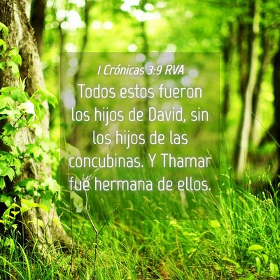 Picture 04 - 1 Crónicas 3:9 RVA - Todos estos fueron los hijos de David, sin los - Bible Verse Picture