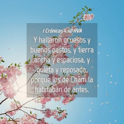 Picture 04 - 1 Crónicas 4:40 RVA - Y hallaron gruesos y buenos pastos, y tierra - Bible Verse Picture